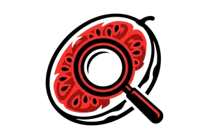 光速体育平台 - 吃瓜社Logo